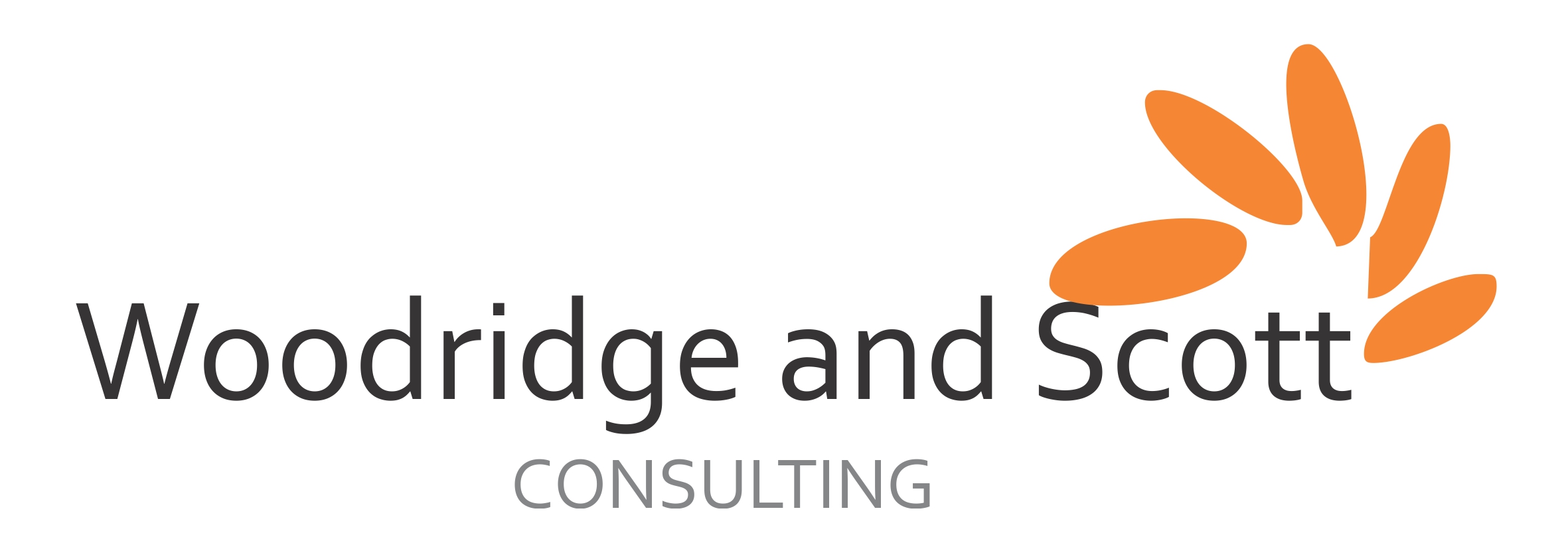 WOODRIDGE AND SCOTT Consulting Services