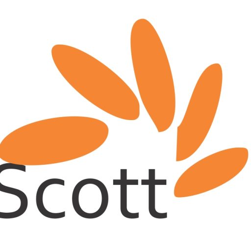 WOODRIDGE AND SCOTT Consulting Services